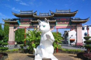 kuching-cat