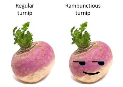 turnip-1