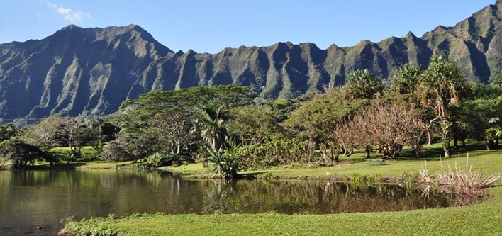 koolau
